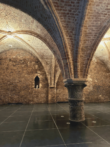 14th century cellar under the holiday rentals De Drie Koningen