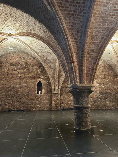 Vault 14th century cellar Bruges